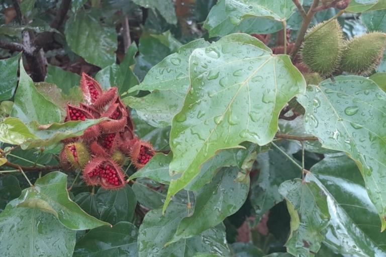 240326_lodo_urucum_5.jpg