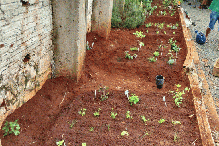 240410_gesa_materia_santa_izabel_do_oeste_ofic_horta_plantas_medicinais02.gif