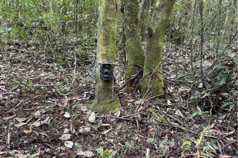 250729_estudos_de_fauna_e_flora_equipamento_de_fotografia.jpg