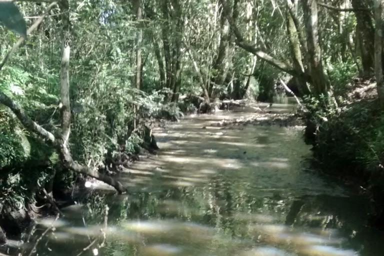 2_-_220223_-_estadual_-_diagnotisco_14_bacias_rio_do_meio_pinhais.jpg