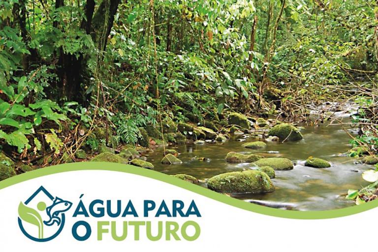 aguafuturo.jpg