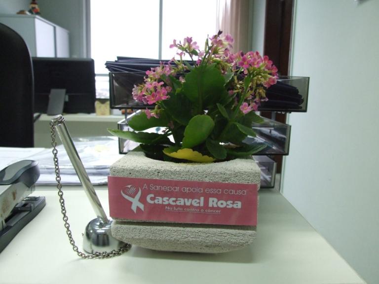 cascavel_no_outubro_rosa_1.jpg