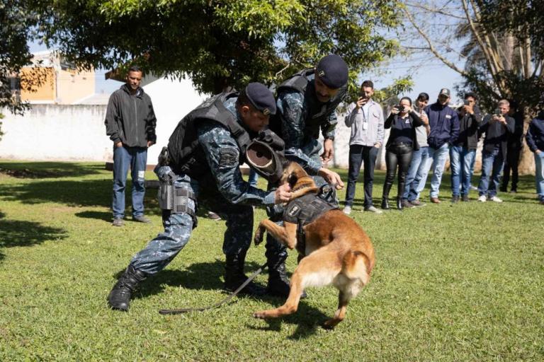 conscientizacao_e_prevencao_a_mordedura_canina_-352.jpg