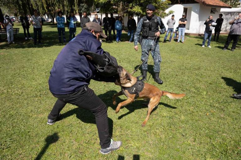 conscientizacao_e_prevencao_a_mordedura_canina_-548.jpg