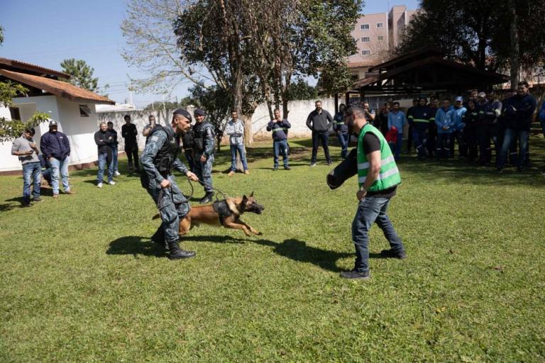 conscientizacao_e_prevencao_a_mordedura_canina_-599.jpg