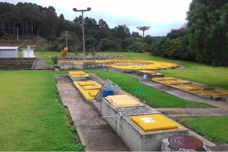 ete_palmas_4.jpg