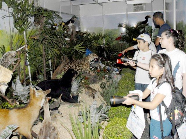 expoinga_trilha_2013_121.jpg