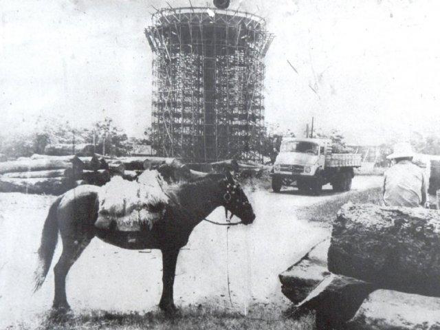 paranavai2.jpg