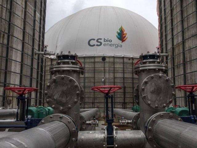 planta_da_cs_bionergia_-_credito_maurilio_cheli.jpg