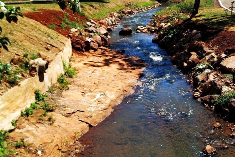 rio_toledo_3_vale_ipe.jpg
