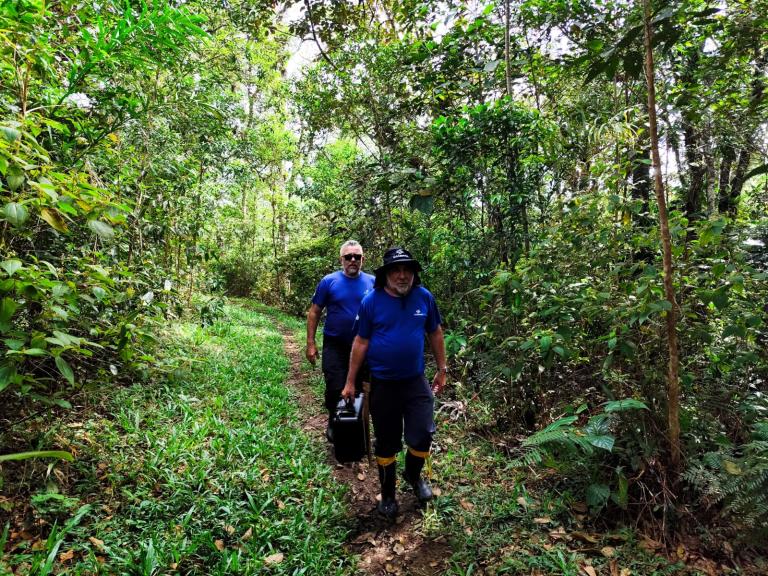 homens caminhando na mata nativa