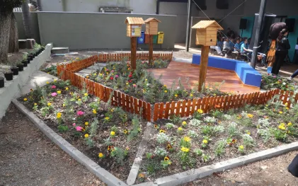 Sanepar implanta 600 colmeias de abelhas sem ferrão em unidades educacionais do Paraná