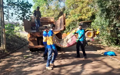 voluntários em arapongas