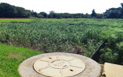 Sistema wetlands em estações de tratamento de esgoto