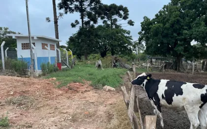 carambei_sanepar rural