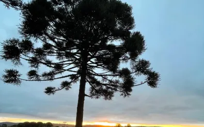 carambei_sanepar rural