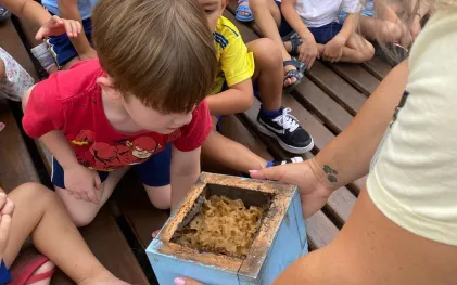 Jardins de Água e Mel - Selo Sesi ODS