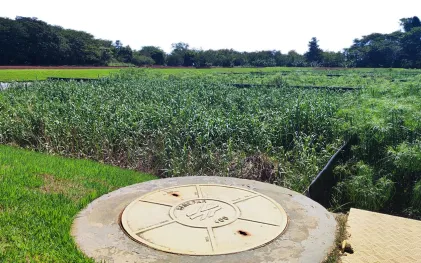 Wetland Santa Helena