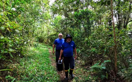 homens caminhando na mata nativa