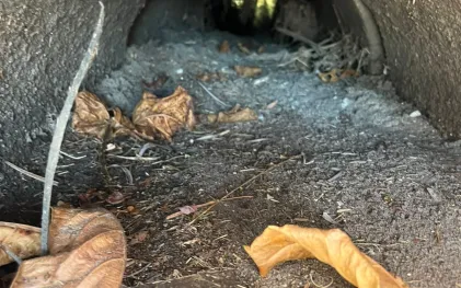 Sanepar investe R$ 1,4 milhão na limpeza de galerias de água de chuva para proteger as praias