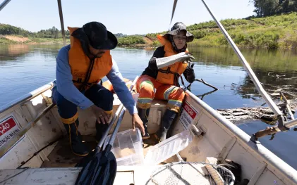 Cerca de 2 mil animais silvestres já foram resgatados com ajuda de embarcações