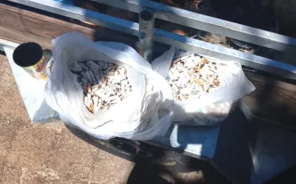 gincana de coleta de bitucas de cigarro nas praias do Paraná