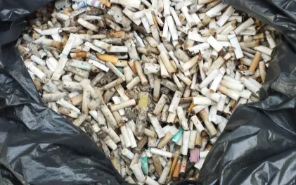 gincana de coleta de bitucas de cigarro nas praias do Paraná