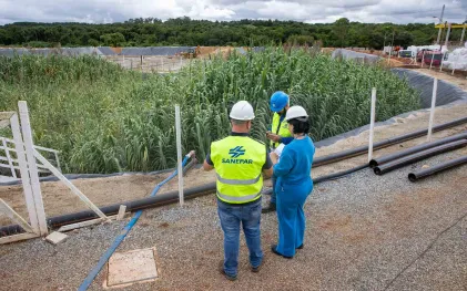 Três técnicos vestindo coletes refletivos da Sanepar conversam e analisam documentos à beira de um grande tanque de tratamento biológico tomado por vegetação alta e densa do sistema Wetland
