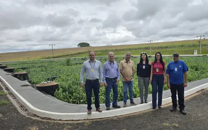 estação de tratamento de esgoto com tecnologia para tratar esgoto com zona de raiz