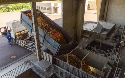 Caminhão realiza o descarregamento de resíduos orgânicos vegetais nas moegas de recepção da fábrica.