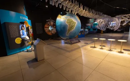 Imagem interna do Museu do Saneamento, que mostra o esqueleto de baleia azul feito em plástico que foi descartado.