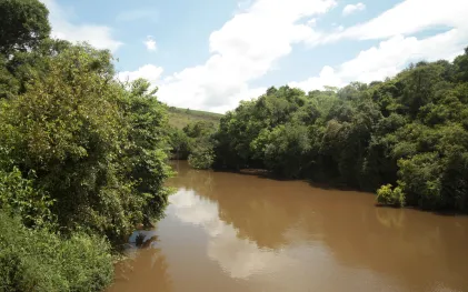Vista panorâmica de um rio largo com água marrom e turva, cercado por densa mata ciliar verde em ambas as margens, sob um céu com nuvens brancas.