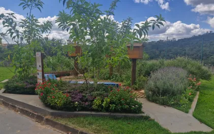 Jardim de água e mel