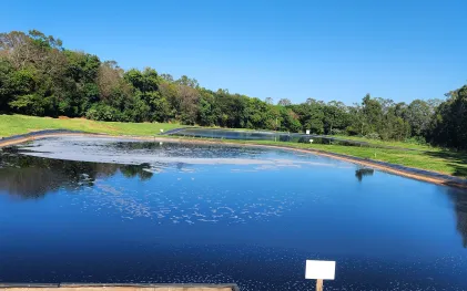  ISO 14.001 é uma norma internacional que estabelece diretrizes para sistemas de gestão ambiental
