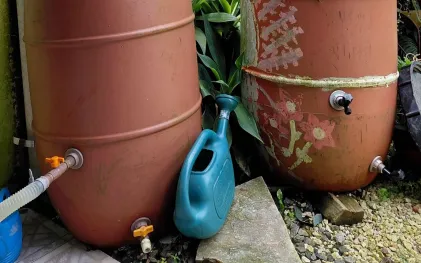 Duas bombonas plásticas marrons usadas para captação e reaproveitamento de água da chuva, com torneiras instaladas e um regador verde ao lado.
