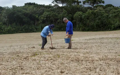 Dois técnicos agrícolas realizam amostragem de solo em um campo aberto de terra batida, cercado por uma floresta nativa de araucárias ao fundo. Um deles usa chapéu e coleta a amostra com um trado, enquanto o outro segura um balde azul