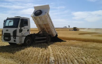 Caminhão basculante branco da Sanepar despejando lodo de esgoto higienizado em uma lavoura