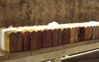 Entre os exemplares catalogados, estão o cedro rosa, uma madeira comercial e muito utilizada na movelaria e na construção de casas caiçaras