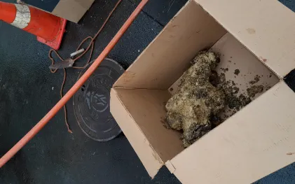 gordura retirada durante limpeza de poço de visita da rede de esgoto