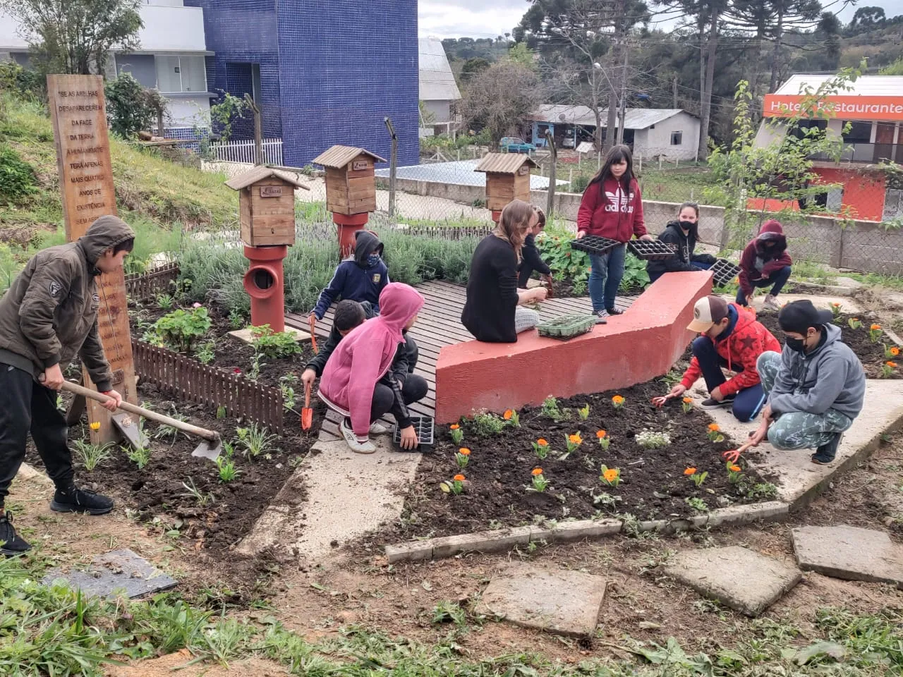 Educação ambiental na escola