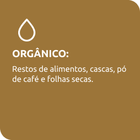ORGANICO